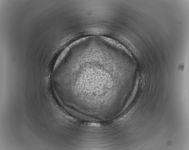 X0000097650355200803142115