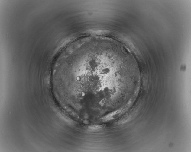 X0000097650357200803142115