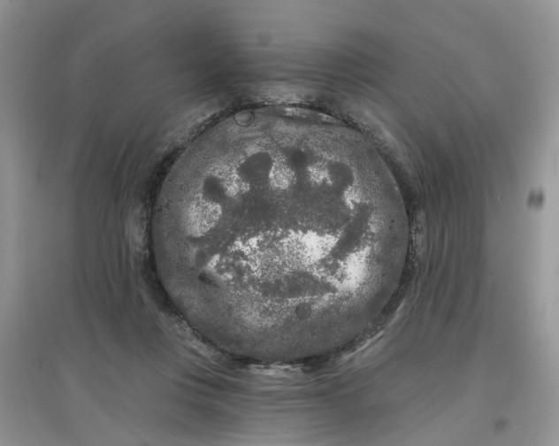 X0000097650359200803142115