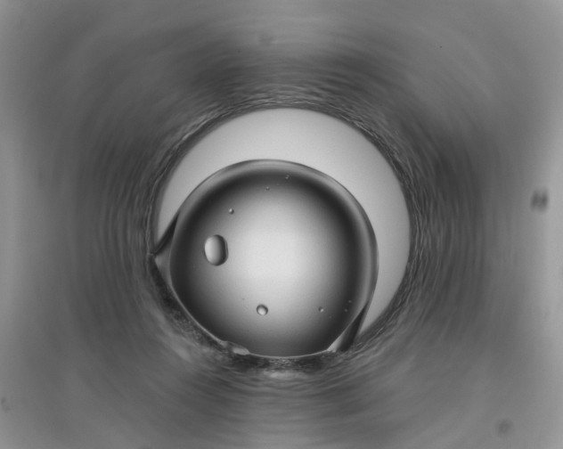 X0000097650360200803142115