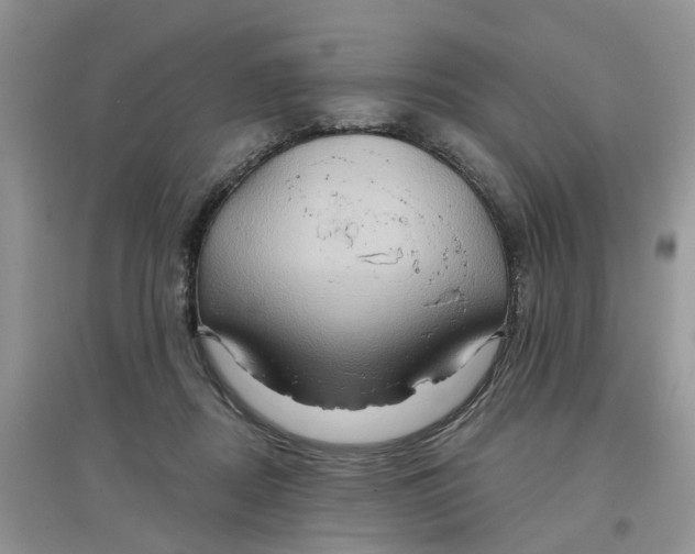 X0000097650362200803142115