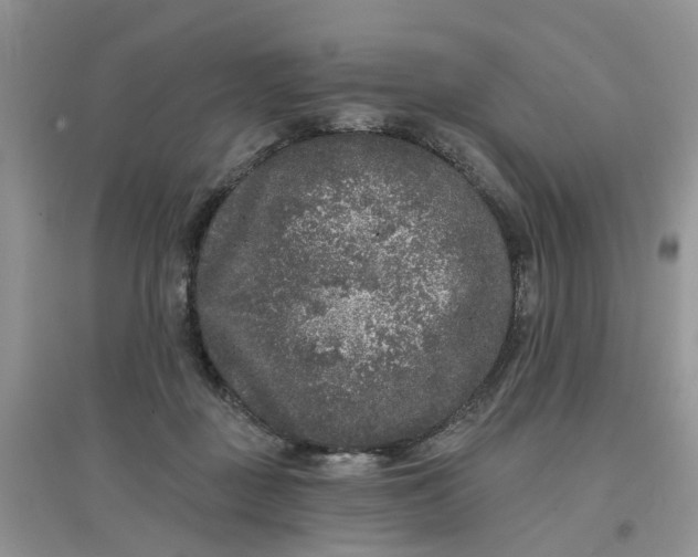 X0000097650363200803142115