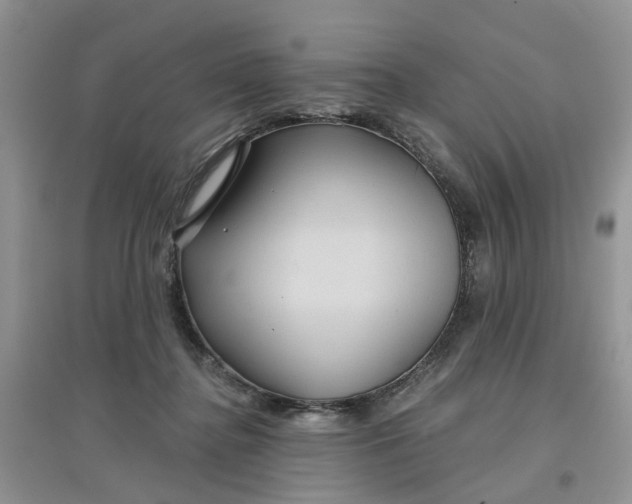 X0000097650364200803142115