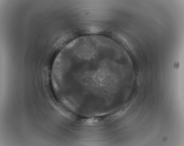 X0000097650366200803142115