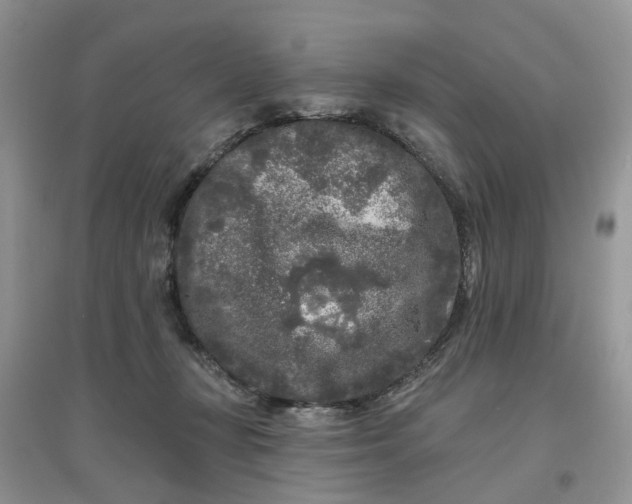 X0000097650367200803142115