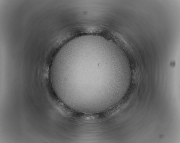 X0000097650368200803142115