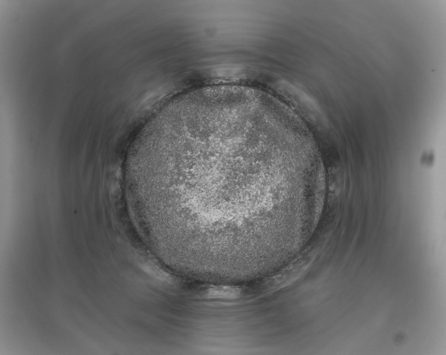 X0000097650369200803142115