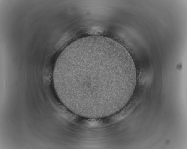 X0000097650370200803142115