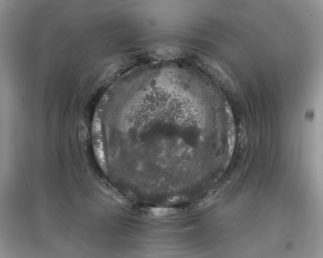 X0000097650371200803142115