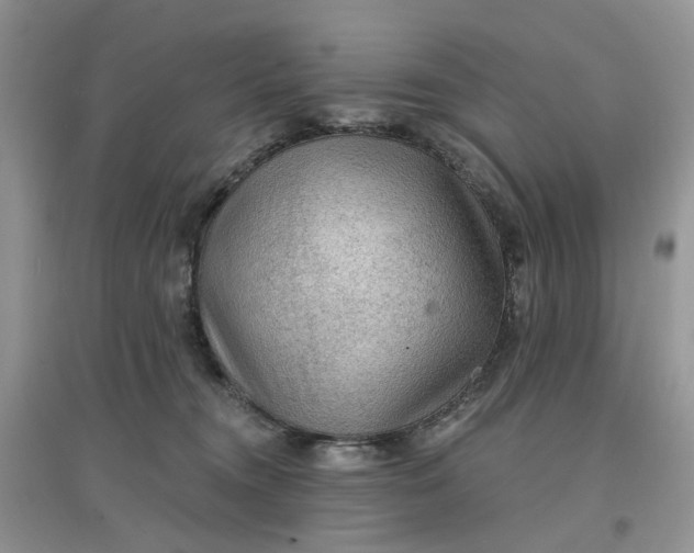 X0000097650372200803142115