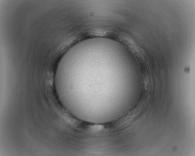 X0000097650374200803142115