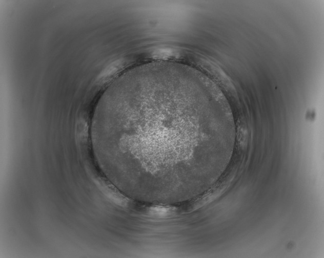 X0000097650375200803142115