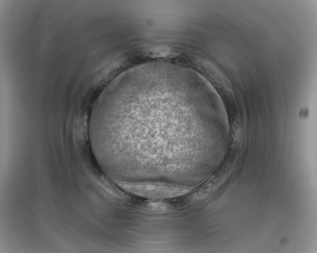 X0000097650376200803142115