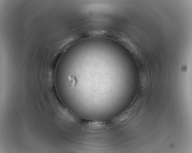 X0000097650378200803142115