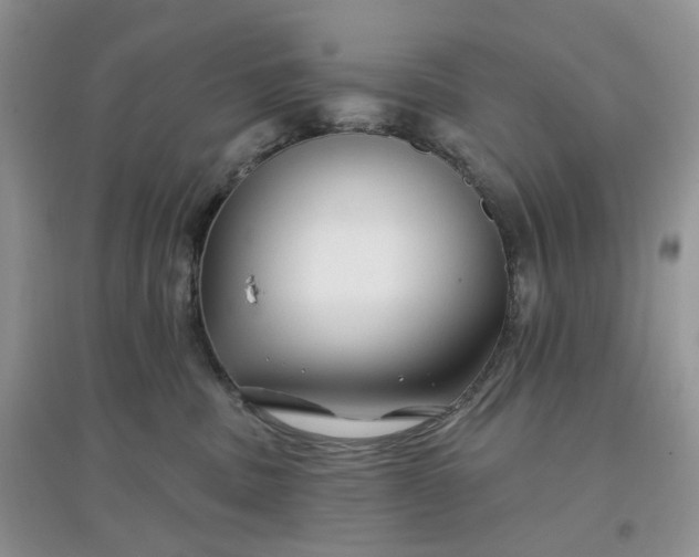 X0000097650379200803142115