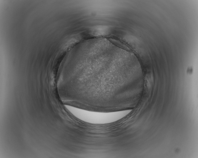 X0000097650380200803142115