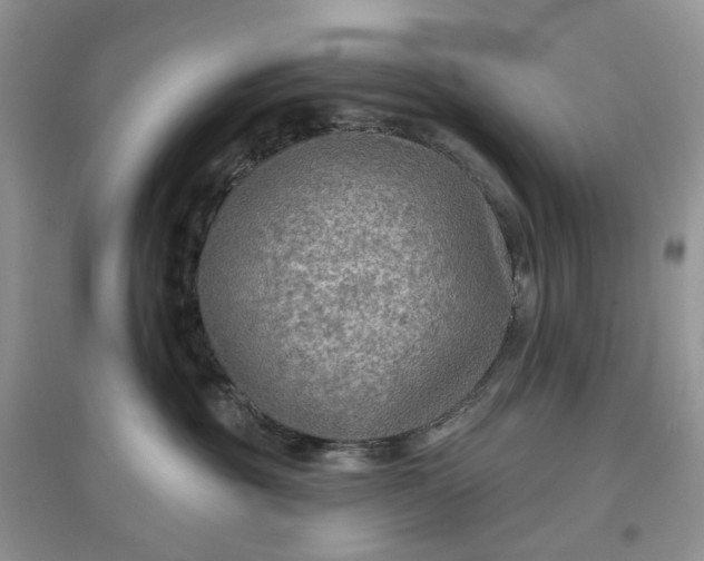 X0000097650381200803142115