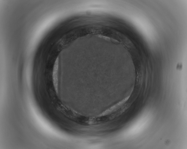 X0000097650383200803142115