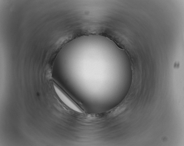 X0000097650384200803142115