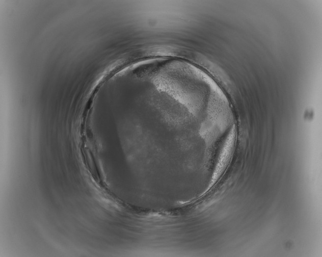 X0000097650386200803142115