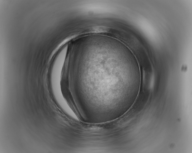 X0000097650387200803142114