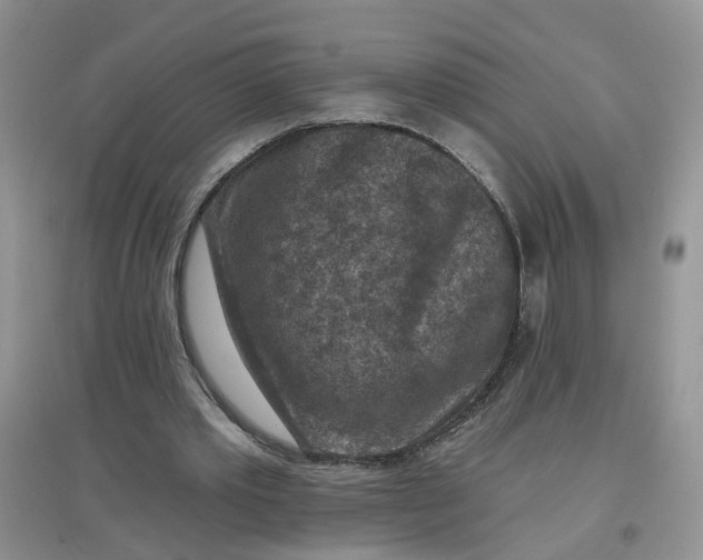 X0000097650389200803142114