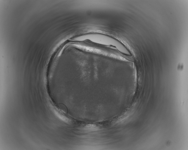 X0000097650390200803142114