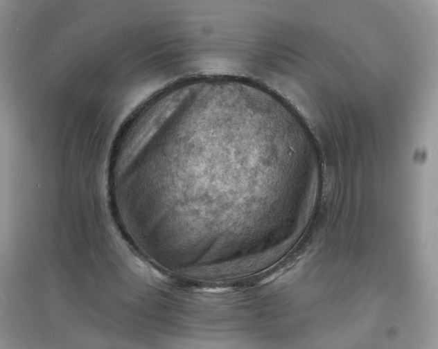 X0000097650391200803142114