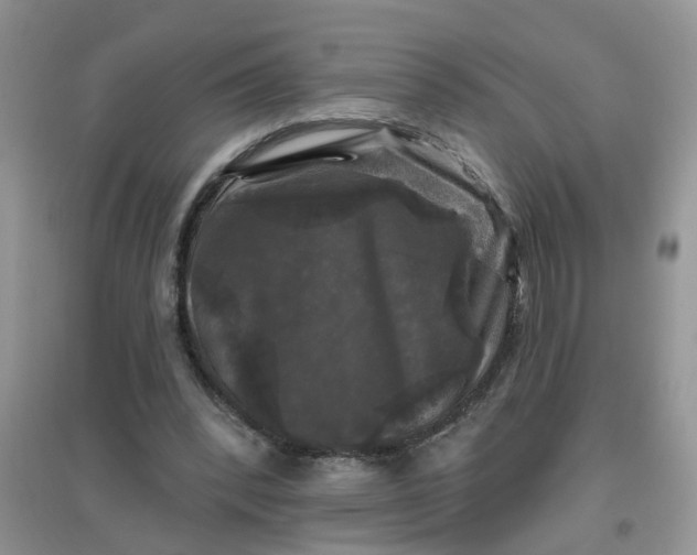 X0000097650392200803142114