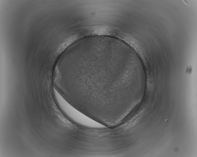 X0000097650393200803142114