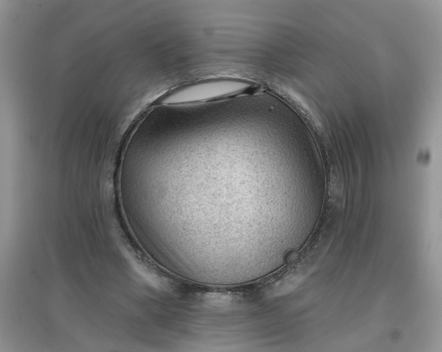 X0000097650394200803142114