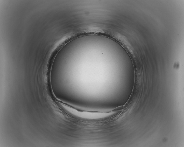 X0000097650395200803142114