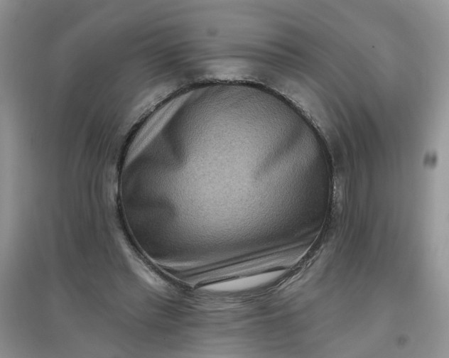 X0000097650397200803142114