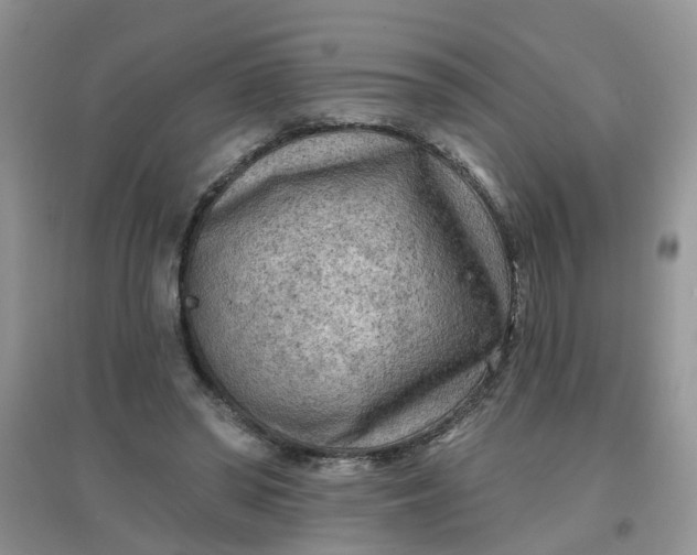 X0000097650398200803142114