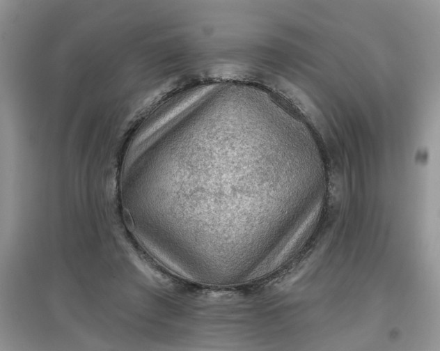 X0000097650401200803142114