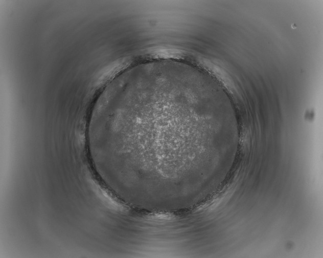 X0000097650402200803142114