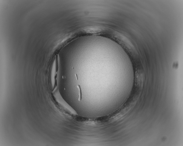 X0000097650404200803142114