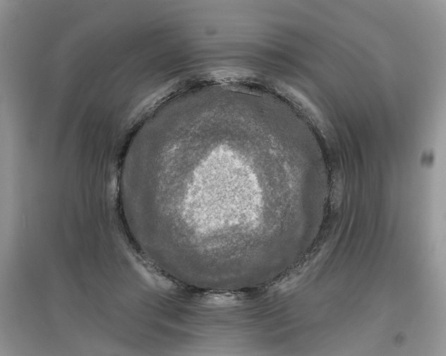 X0000097650405200803142114