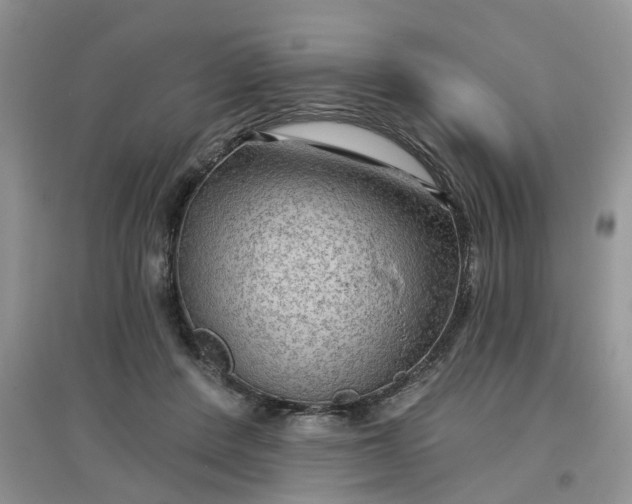 X0000097650408200803142114