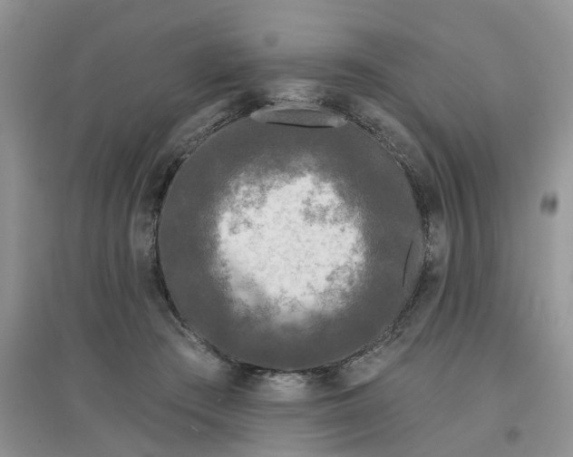 X0000097650409200803142114