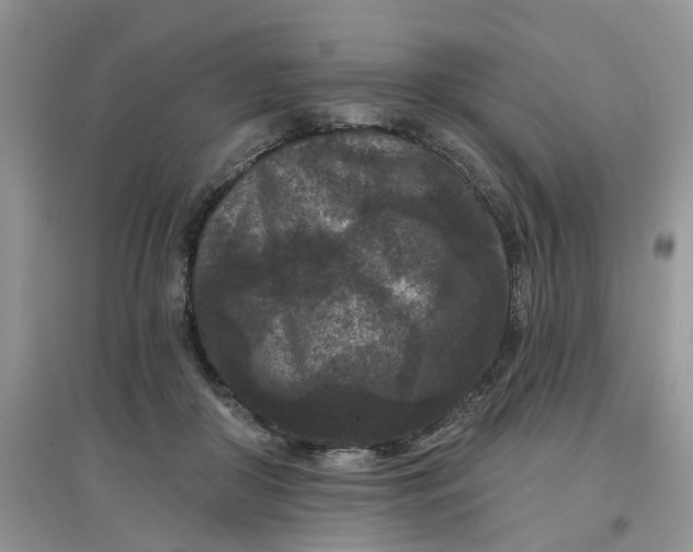 X0000097650410200803142114