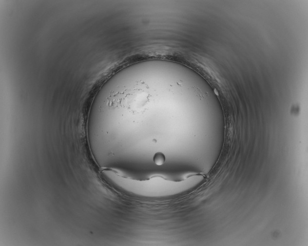 X0000097650411200803142114