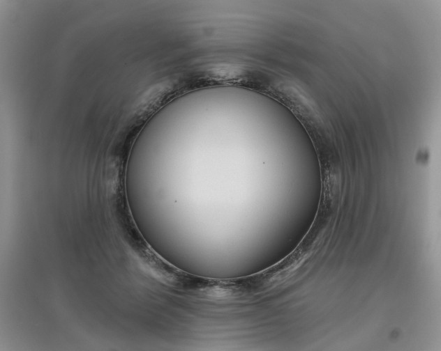 X0000097650412200803142114