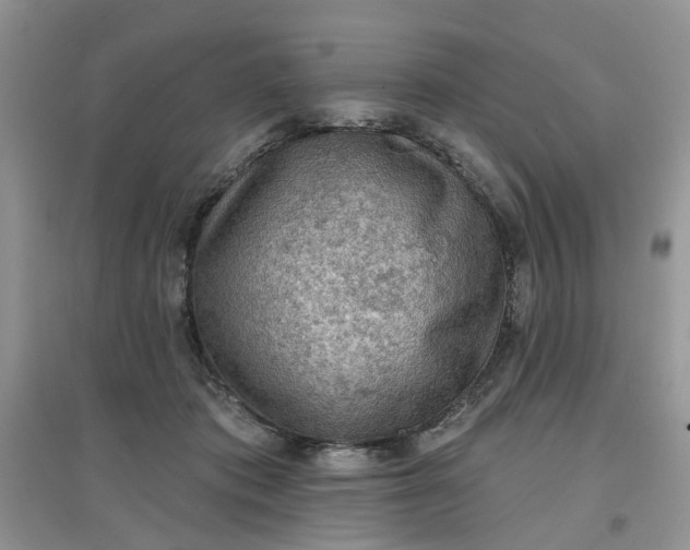 X0000097650413200803142114