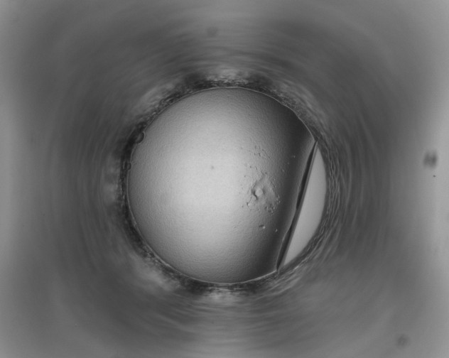 X0000097650416200803142114