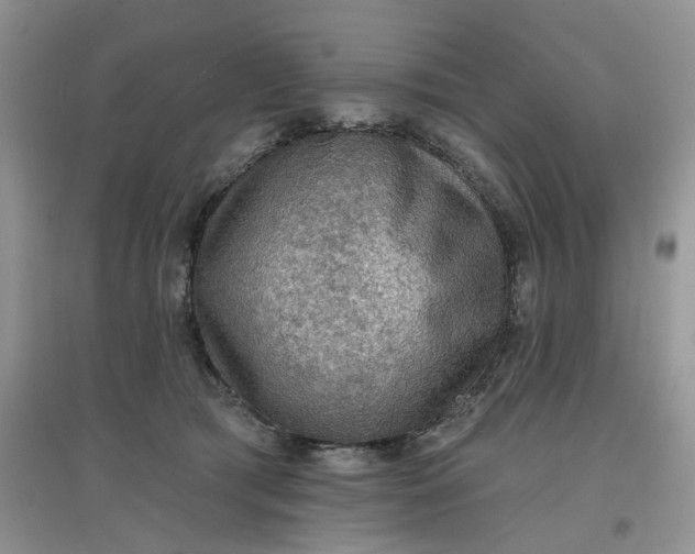 X0000097650417200803142114