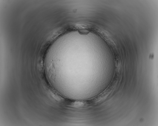 X0000097650418200803142114