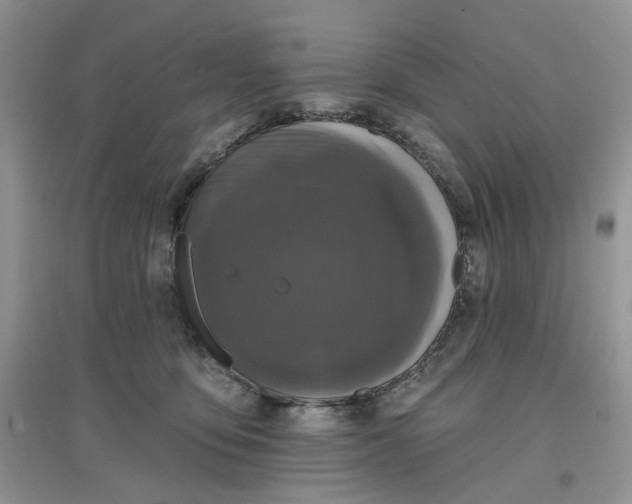 X0000097650419200803142114