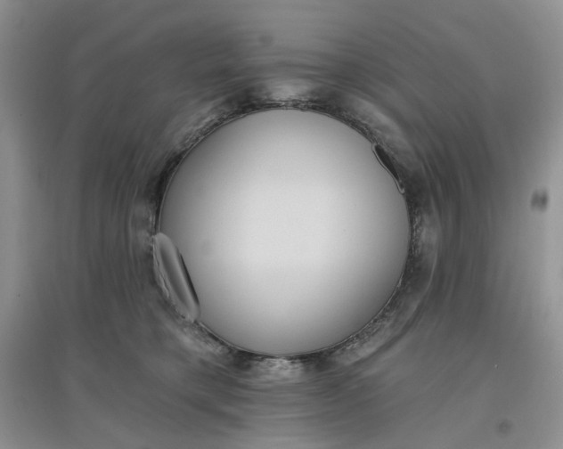 X0000097650421200803142114