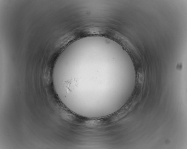 X0000097650422200803142114